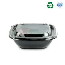 Ana səhifəDəlikli Qabarıq Qapaqlı Şəffaf PP Konteyner D 95 (400-500 ml)Dəlikli