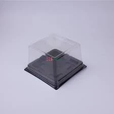 PR-T 138D PET Qapaqlı Bento Desert Qabı